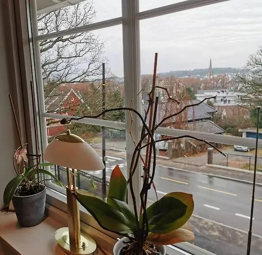 Solrikt Med Kort Avstand Til Byen